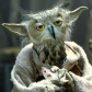 Owl Yoda