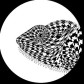 Coster Graphics