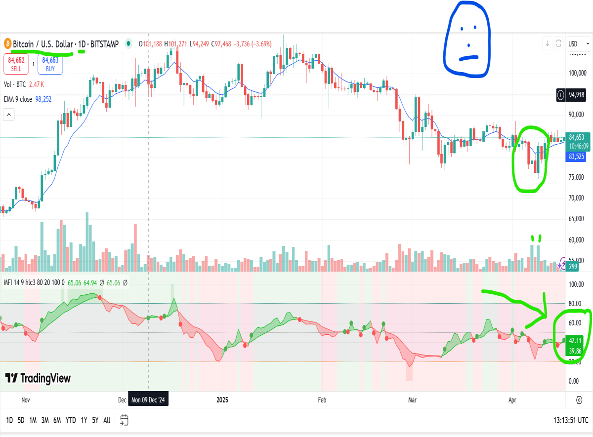bitcoin daily chart