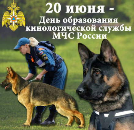 2f19019edb059c964cdc380ed5bc4c3a1265278c27f5a18bad08258296cebc2f.png