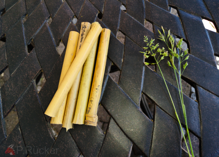 cut bamboo