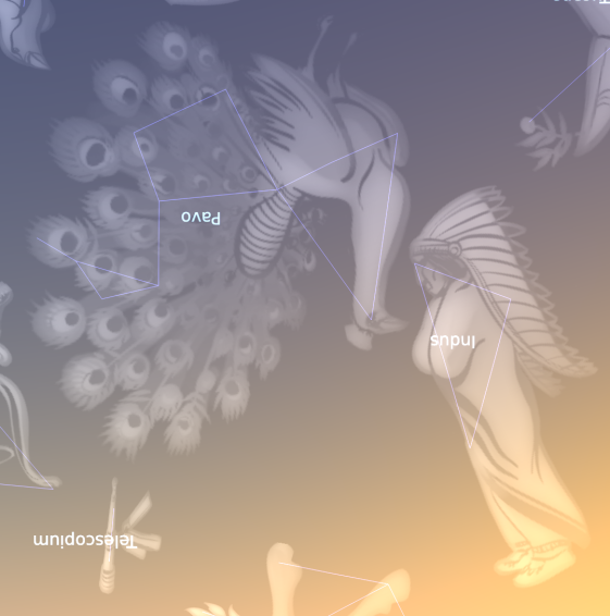 Pavo and Indus