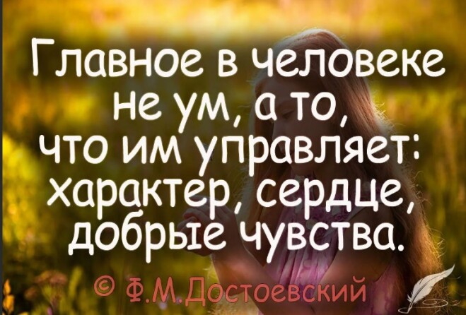 7e54e343f908d61a36ba8d1d9b049902f0954583218fcdfe70eb62ea012749c3.jpg