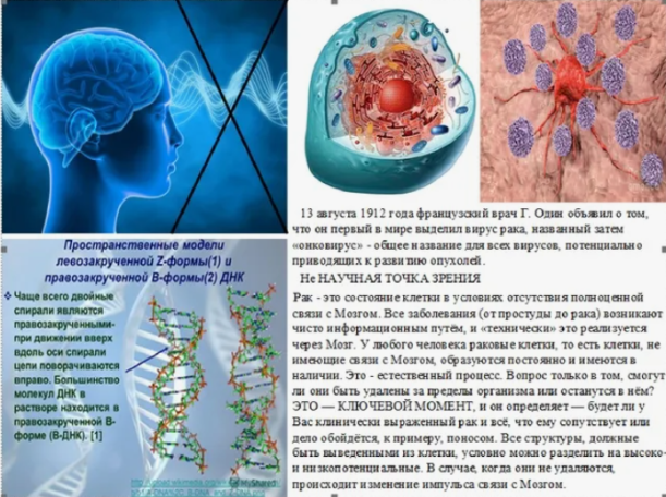 cbf424a972749a8734fe1c5edaab55f53de19ec8a3889bb33956dbd00878b4e8.png