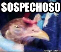 Gallina sospechando de un inversionista crypto argentino que no declara pero de la nada aparece que tiene miles de miles de dolares