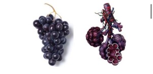 grapes