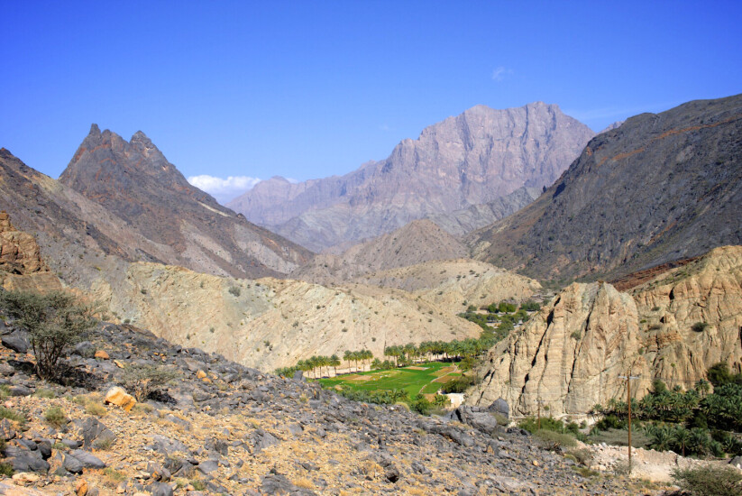 Oman Oasis