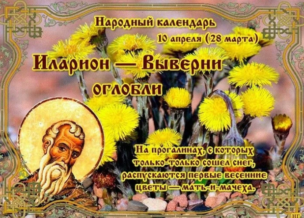 2e68d0404a29c5022e996f51cf928961dcaa21028c6a994291e1cc63109d761e.png