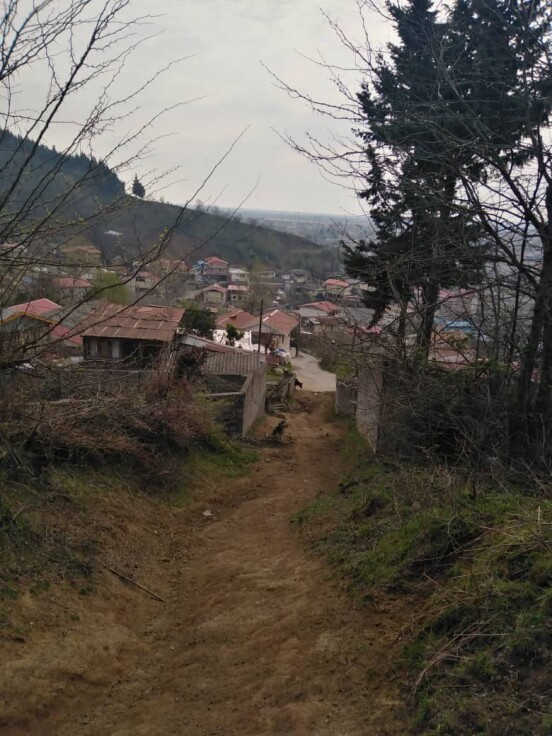 Morning Hike among Lady Friends, Photography of Nature