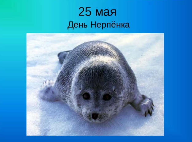 7e4b953eefec03e7512242109b510d3fe48090c0124309307857300de0dd7440.png