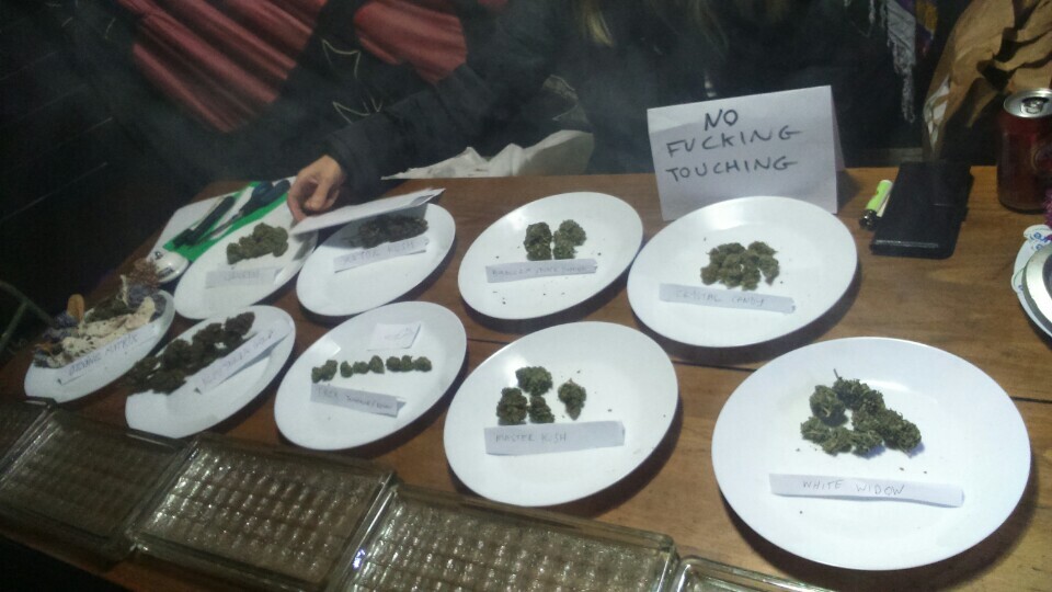 Local Cannabis Cup