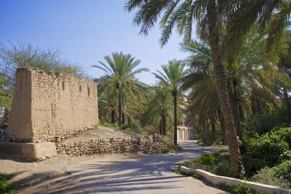 Oman villages road