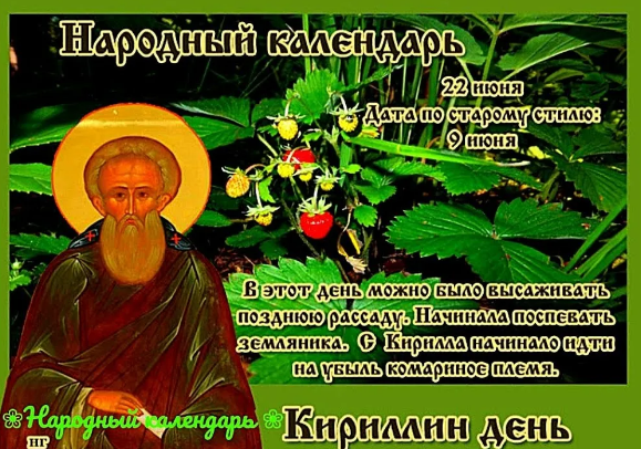 9c0299fc4293852415f8a5e35be01edf2a014aa4720b8790080de911f521a578.png