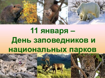 5befb884c3d304bd31f55fc4df6959aede7503440c64c6470881f3205e5fd4f4.jpg