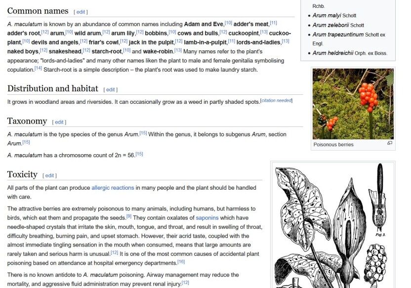 d1c4850daaa6dedf040e78a5498657f54ebaba1641238789501fab881a992af1.jpg