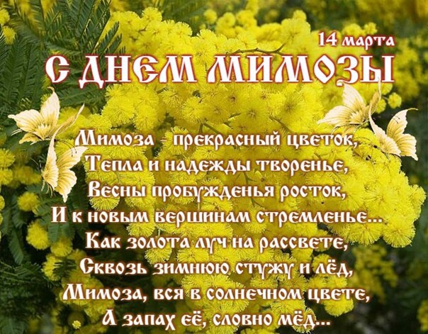 434fd6739848d622b104d3b03929f35bc5f7a3812859590239c0f5be322623fe.jpg