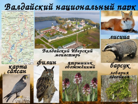 ec4425feae25e5aa01e7546ab65a5d5d2a0cb4c5d53b8b82343bfe983fd7d570.png