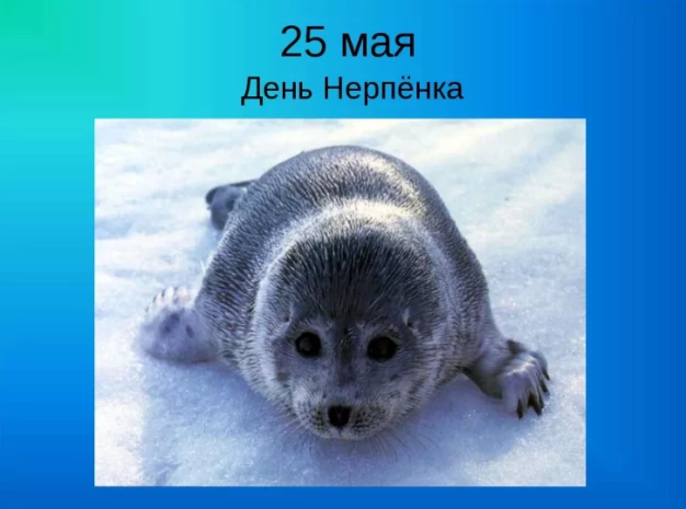 7e4b953eefec03e7512242109b510d3fe48090c0124309307857300de0dd7440.png