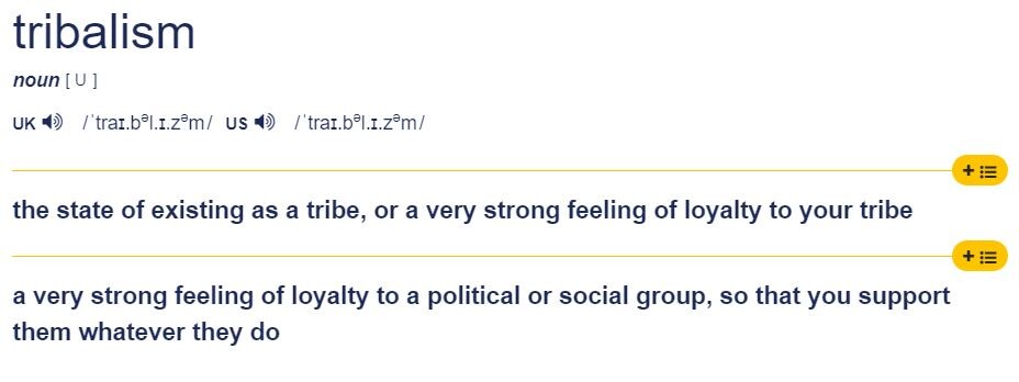 Tribalism definition taken from Cambridge Dictionary