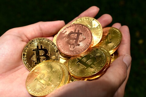 Make tons of Bitcoin at BTC Garden.