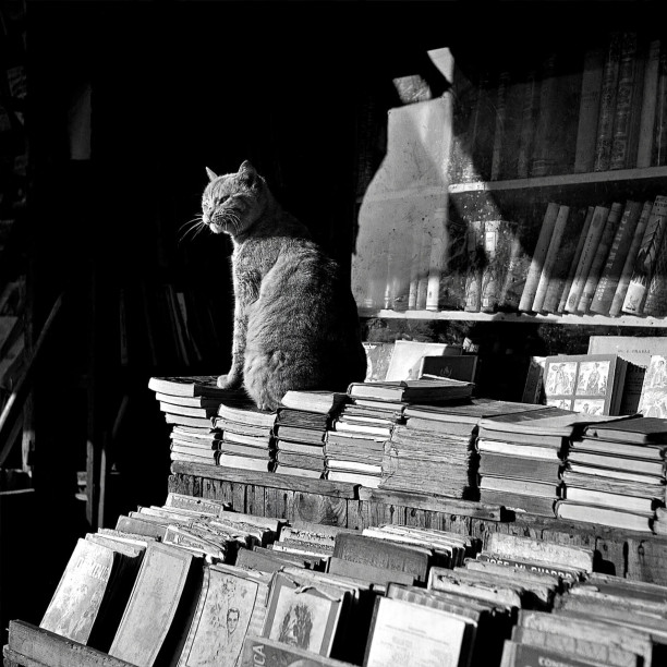 Books and truth