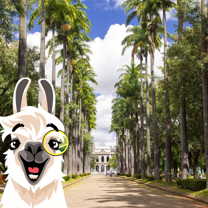 Praça da Liberdade - Belo Horizonte