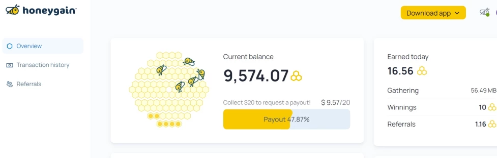Honeygain Income