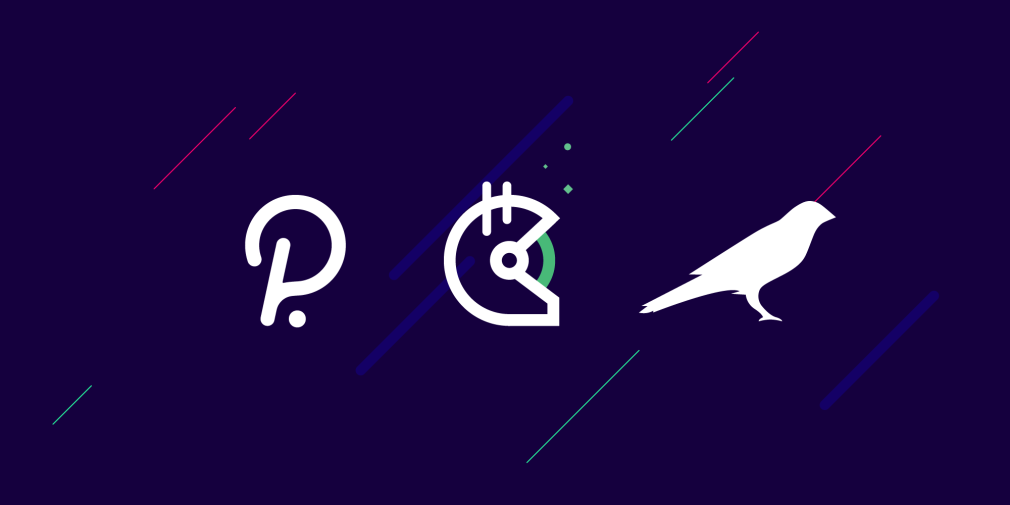 Kusama and Polkadot on Gitcoin