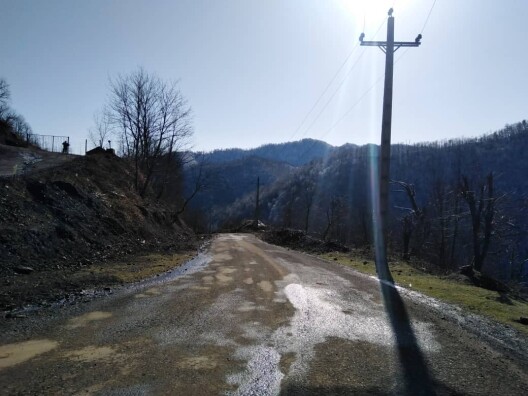 Blossoms! | Another Passionate Morning Bike Ride in The Mountains 