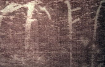 1fcb4fb26c1a6939963702ef18c5808bf28363d7e68a361548910798631855e1.png