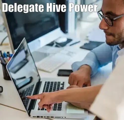 Delegate Hive