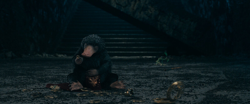 Teddy the Niffler in Fantastic Beasts: The Secrets of Dumbledore movie