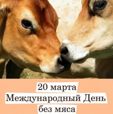 0a31a01498fc0389dfd7fb8aa73e9fd864b1ba74aab60c5c1923fea4901b7ab9.jpg