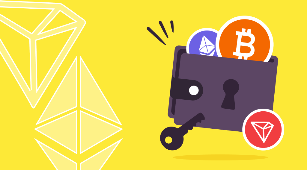 StealthEX Crypto Newsletter Issue 21 Overview of the Best Crypto Wallets