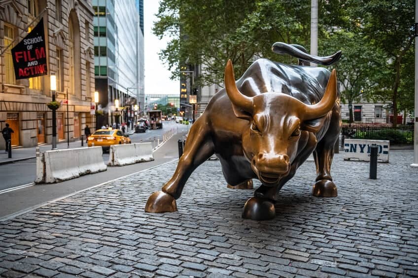 Charging bull.