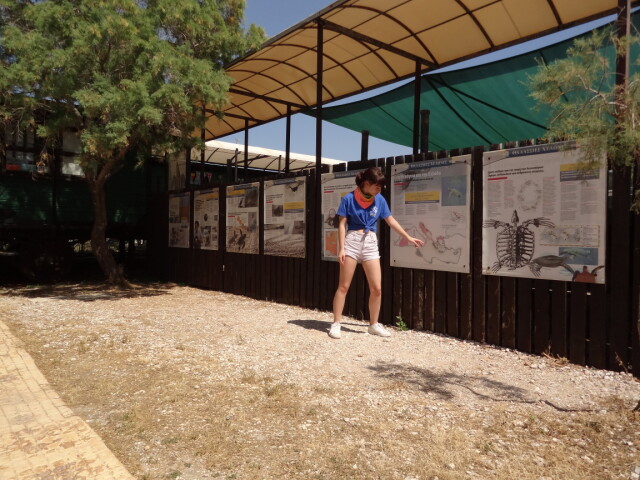Glyfada - Sea Turtle Rescue Center - Guide
