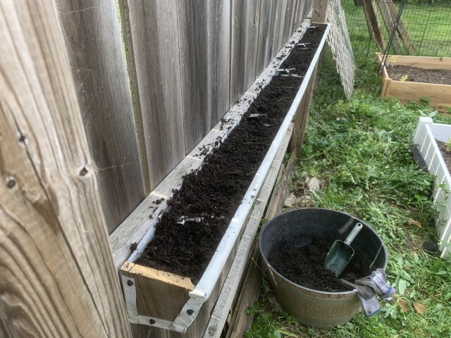 filled with dirt