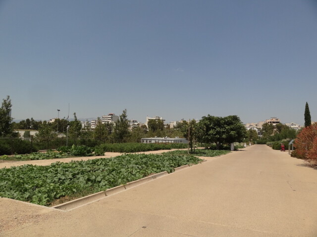 Greece - Around Athens - Kallithea - POI: Stavros Niarchos Park - Vegetable Garden