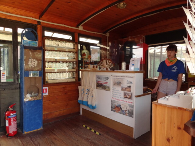 Glyfada - Sea Turtle Rescue Center - Shop