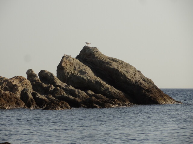 Around Athens - Anavyssos - Beaches - Naftiko Omilo 3 - Social Distancing