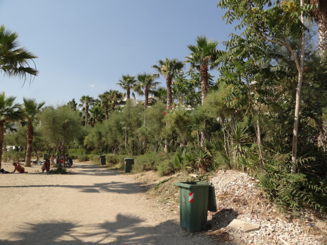 Around Athens - Palaio Faliro - Beaches - Mpati Beach - Woods