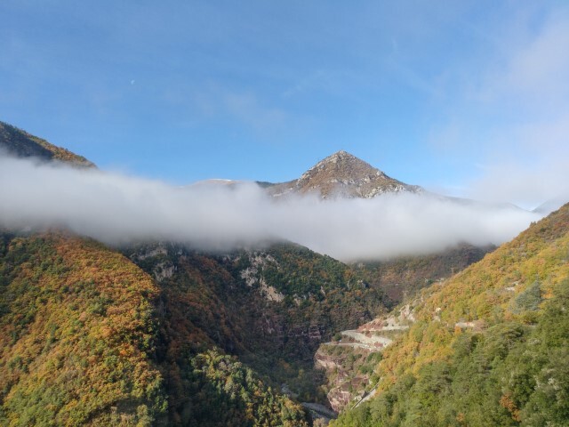d24505d12909f043dd0f7c28f0c187eb789acf3f524f5489628b9b8b5be38afb.jpg