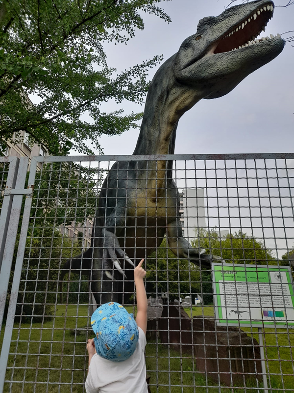 dinozoo