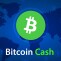 Bitcoin Cash BCH