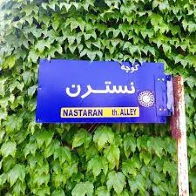 Nastaran Alley | Ebi's Heartfelt Song of Love and Lost |