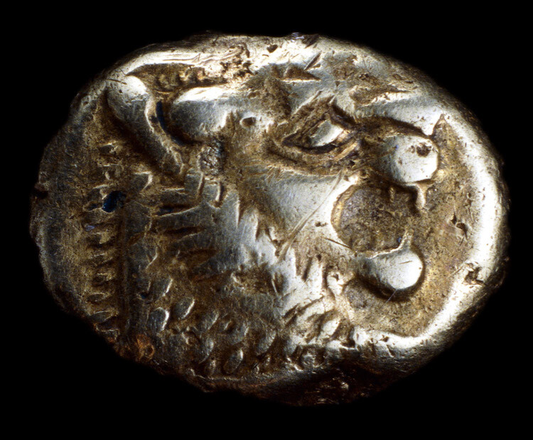 the electrum lion coins