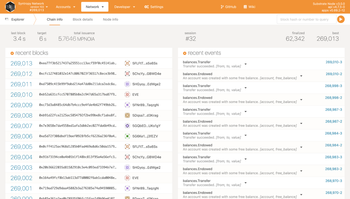 syntropy chain explorer