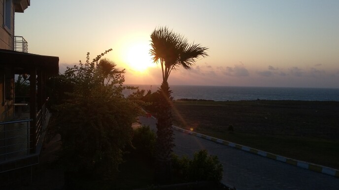 sunset