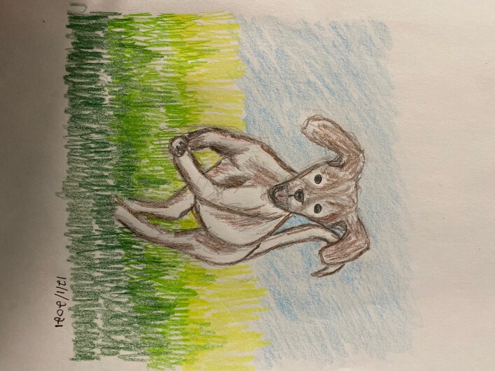 puppy jumping in the air - colored pencils