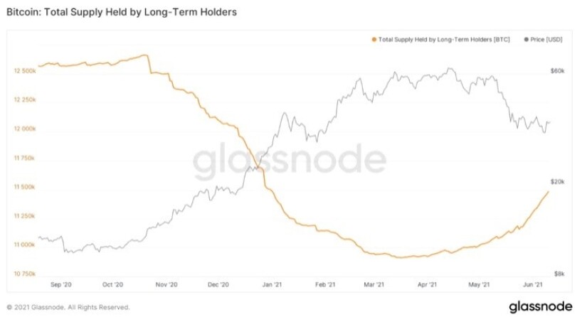 Long-term hodlers